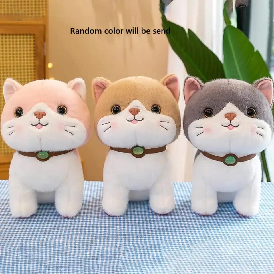 SCOOBA Super Soft Random Color Adorable cat Stuffed Toy Pack of 1 25cm Will be Send - Image 2